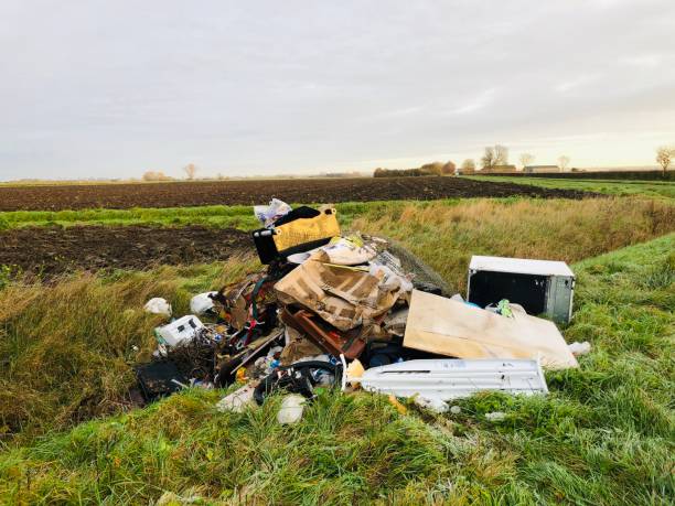The Tangled Mess of Illegal Dumping and Pollution