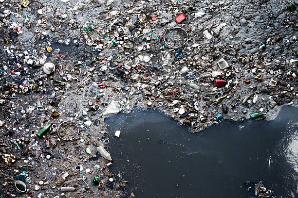 Who Bears Legal Responsibility for Pollution Damage?