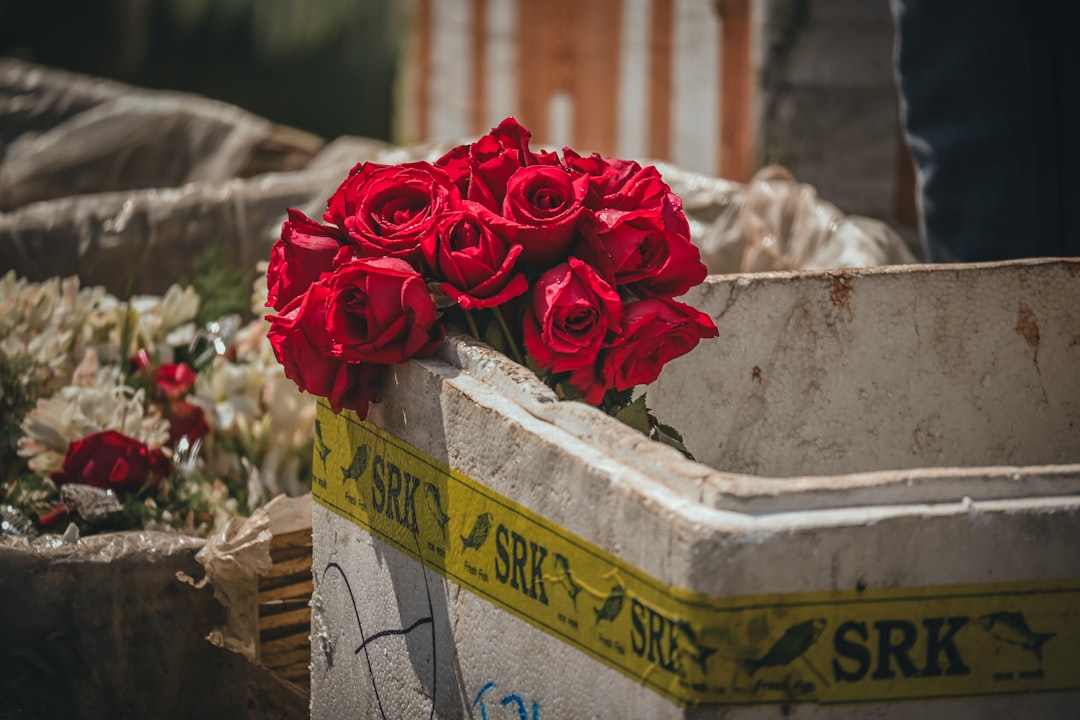 Common Accidents That Lead to Wrongful Death Claims