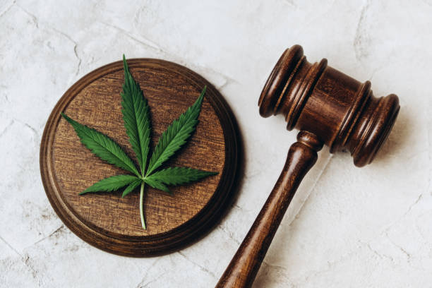FECA’s Exclusive Remedy Rule: Why Federal Workers Usually Can’t Sue