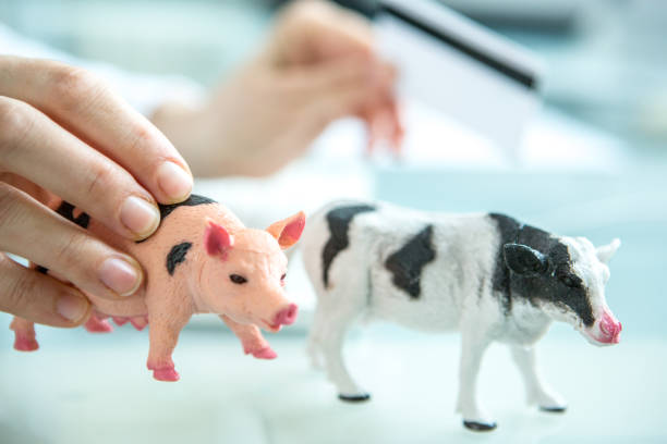The One-Bite Rule: What It Means for Dog Attack Cases
