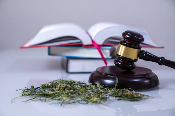 Chronic Exposure to Toxic Fumes: Proving Causation in Nuisance Cases