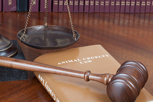 Who Is Liable When a Child Drowns in an Unfenced Pool?