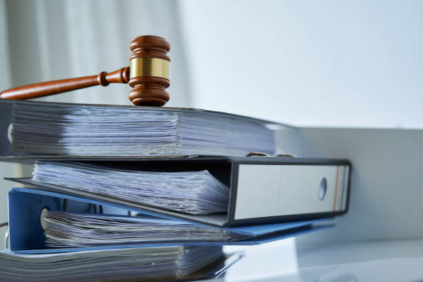 The Reasonable Officer Standard: How Courts Judge Police Use of Force
