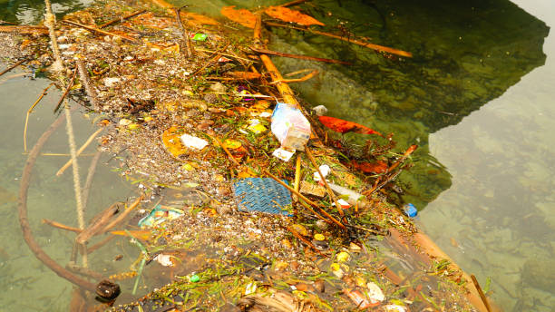 The Legal Fallout from Dumping Industrial Waste into Waterways