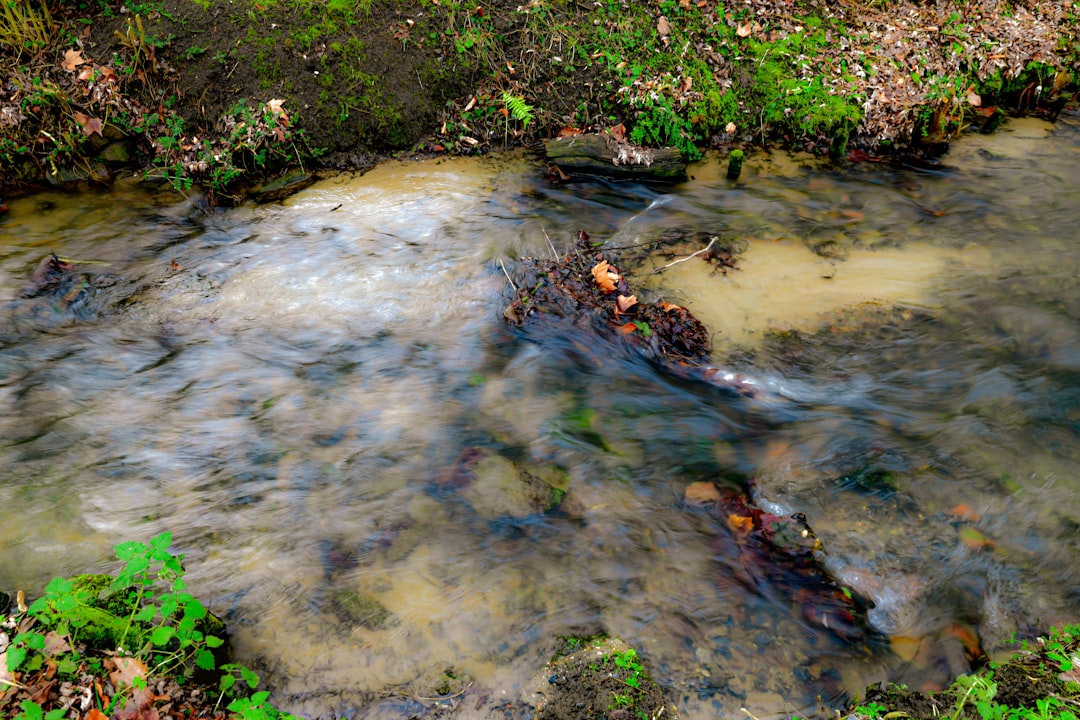 The Primary Sources of Contamination in Our Drinking Water