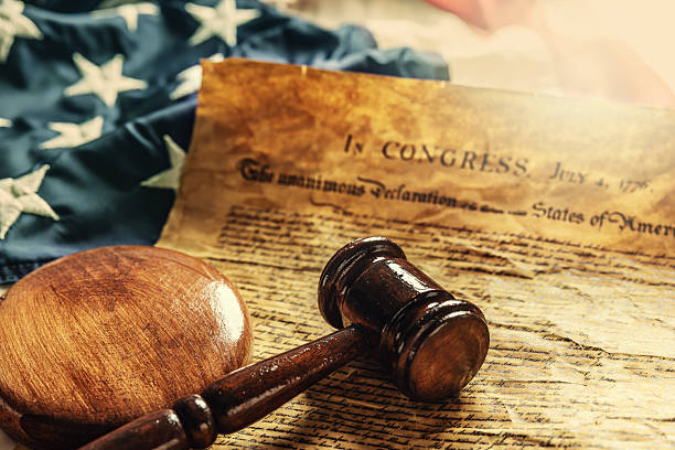 The Right to Criticize Public Officials: When Insults Become Free Speech Violations