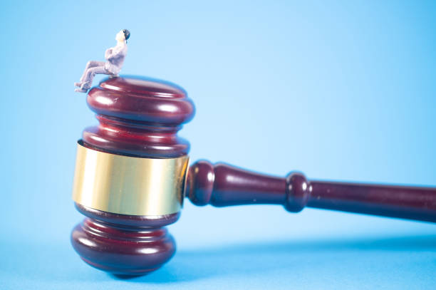 The Legal Fallout of a False Assault Accusation in a Neighborhood Dispute