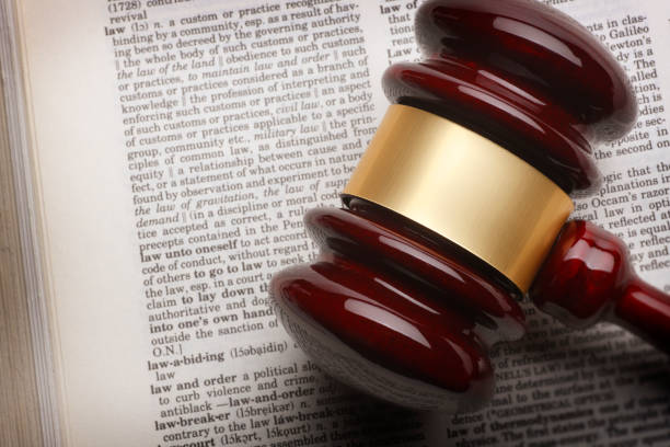 The Legal Value of a Pet in Veterinary Malpractice Claims